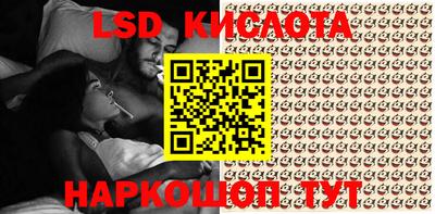 PSILOCYBIN Кулебаки