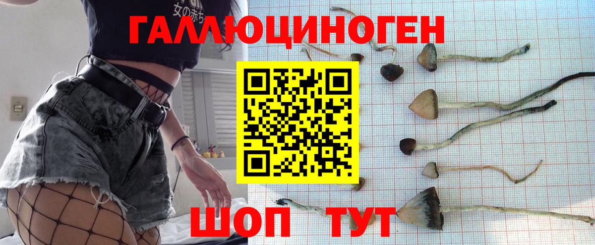 Псилоцибиновые грибы MAGIC MUSHROOMS Зеленодольск