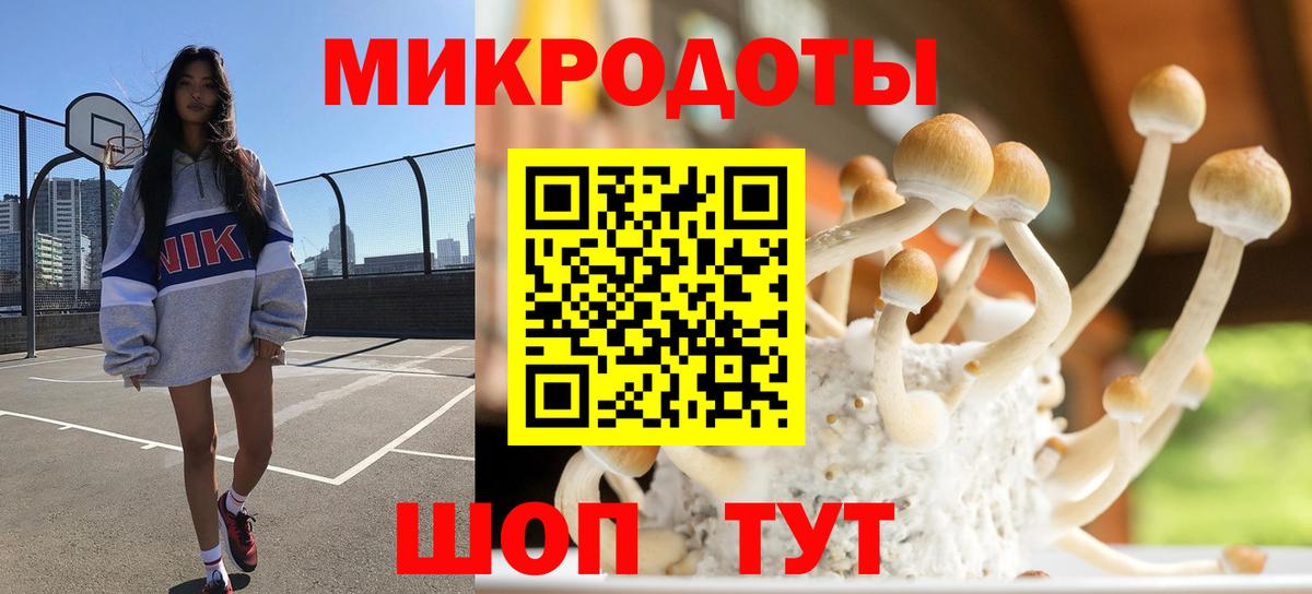 Псилоцибиновые грибы Magic Shrooms  как найти   Зеленодольск  Вход с VPN 